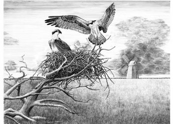 artUNPRIMED Set To Debut Final Exhibition At Sag Harbor Pop Up Space