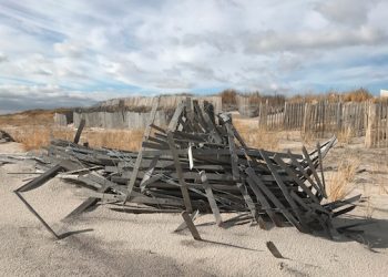 Montauk Library To Present “Natural Abstractions + Landscape Loves”