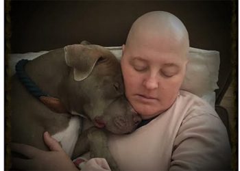 East Hampton Community Rallying Around Mother Of Three Fighting Breast Cancer