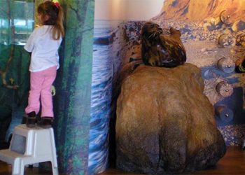 South Fork Natural History Museum Establishes After School Nature Enrichment Bilingual Program