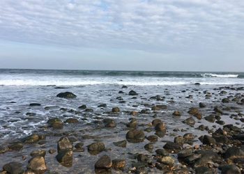 State Budget Invests In Protecting Clean Water