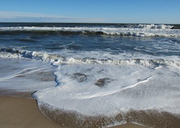 How To Commemorate Earth Day In The Hamptons: Festivals, Open Houses, Community Cleanups And More