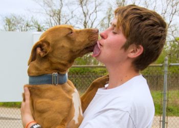 North Fork Animal Welfare League To Host Fundraising Event At Long Island Aquarium For New Shelter Facility