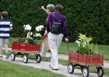 The Garden Club Of East Hampton Kicking Off Summer Season With Annual Hamptons Garden Party And Plant Sale