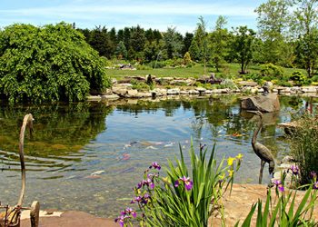 Tour Seven Exquisite Hamptons Outdoor Oases During The Garden Conservancy’s Open Days Garden Tour