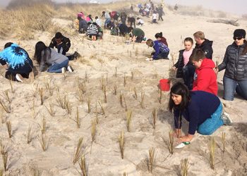 Group For The East End Wraps Up Year-Long Native Planting Project In Greenport, Remsenburg, And Southampton