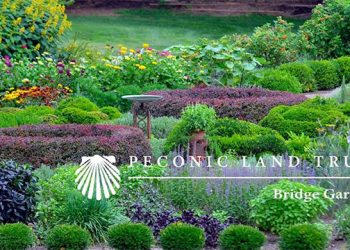 Community Potluck Dinner To Highlight Local Ingredients And Stunning Hamptons Landscapes