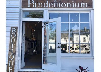Pandemonium Boutique Alleviating Closet Chaos