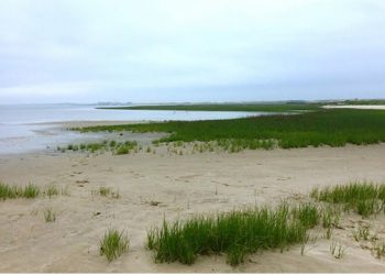 Peconic Baykeeper Hosting Inaugural A Toast to Our Bays, Partnering Industry And The Environment