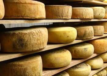 Mecox Bay Dairy Opening Onsite Store