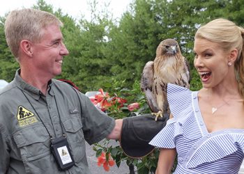 Eastern Long Island’s Sole Wildlife Hospital Hosting Annual “Get Wild! Summer Benefit”