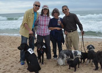 Animal Rescue Fund Of The Hamptons To Host 24th Annual “Stroll To The Sea”