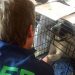 The Angels Unaware At Hamptons Animal Shelters Extend Their Paws To Displaced Four-Footed Friends