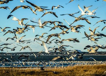 50 Local Artists Highlighting Exceptional Works At Annual Hamptons Fall Art Show