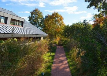 Leave Your Legacy At South Fork Natural History Museum