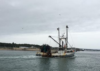 New York State Looks To Promote Locally Caught Seafood