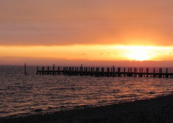 Local Clean Water Stewards Back First Year Of “Save The Lake – Save The Pond”