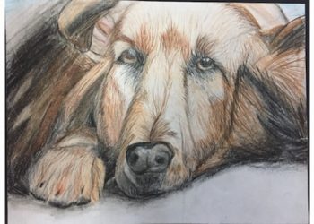 Students Encouraged To Express Their Fur Baby Love Through Art