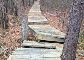 Fairy Dell Boardwalk To Be Restored This Year
