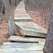 Fairy Dell Boardwalk To Be Restored This Year