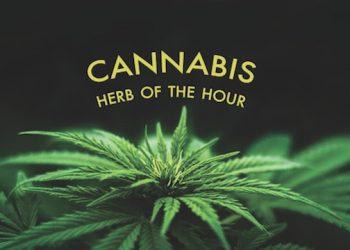 East End-Based Gallery Holding Open Call For Weed And Ink Themed Art Shows