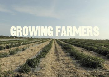 Hamptons-Based Arts Center To Screen Documentary About Affordable Farmland On Long Island