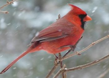 Exciting And Educational Hamptons Winter Break Classes And Workshops For Students