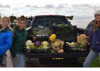 East Hampton’s Share The Harvest Farm Hosting St. Patrick’s Day Benefit Concert At Stephen Talkhouse