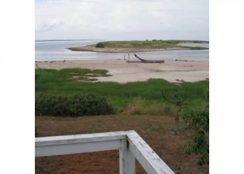 The First Weekend Of Spring To Bring Complimentary Artist Critique To The Hamptons