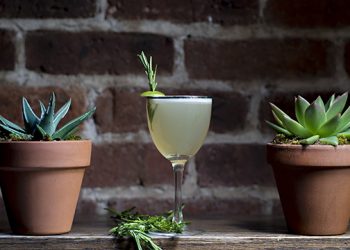 Celebrate Cinco de Mayo With These Signature Sips