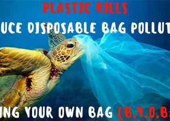 Survey Finds The Use Of Plastic Bags Has Decreased In Suffolk County