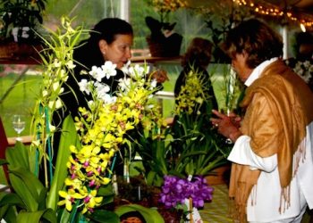 Exquisite Blooms To Be Showcased During Annual Memorial Day Weekend Hamptons Garden Party And Plant Sale