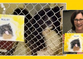 Long Island-Based Portraits Program Shines A Spotlight On Local Shelter Animals