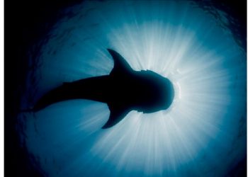 Shawn Heinrichs’ “Light On Shadow” To Make World Premiere At Southampton Arts Center