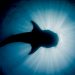 Shawn Heinrichs’ “Light On Shadow” To Make World Premiere At Southampton Arts Center