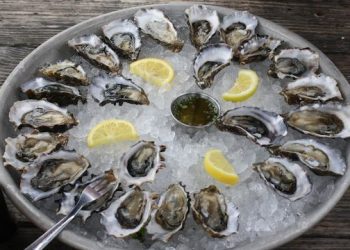 South Fork Natural History Museum Helps Sponsor The East Hampton Shellfish Education And Enhancement Directive Oyster Garden Party