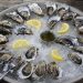 South Fork Natural History Museum Helps Sponsor The East Hampton Shellfish Education And Enhancement Directive Oyster Garden Party