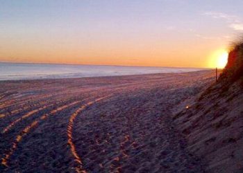 Sixty-Something: The Sounds Of Summer In The Hamptons