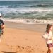 Sixty-Something: Top Five East Hampton Beaches To Take Walks At