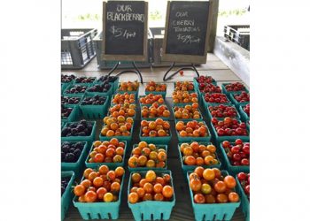 The Barefoot Contessa Shares Her Favorite Hamptons Spots