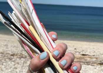 Strawless Summer Continues With East End “Straws” Screenings