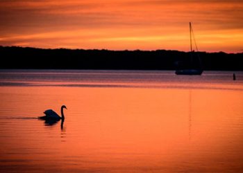 Skrapper Studio To Host “Via East Hampton”