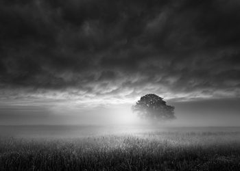 Westhampton Beach Festival Of The Arts To Return Over Labor Day Weekend