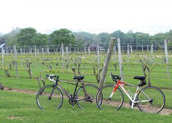 INTERVIEW: David Powers On i-tri’s Inaugural Hamptons Ride And Wine