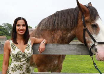 Padma Lakshmi Toasted To During The Premier Hamptons Culinary Affair