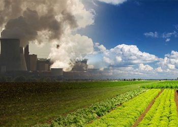 Preview Of “Grow Food” Taking Place In The Hamptons