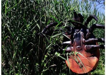 East End-Based Tick & Mosquito Expert Offers His Top Prevention Tips