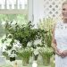 Audrey Gruss Hosts Hamptons All White Ladies Tea In Support Of The Hope Fragrance Collection
