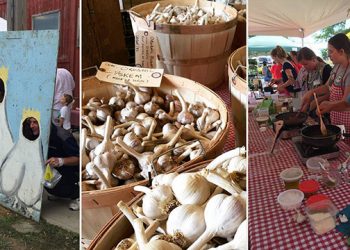Annual East End Garlic Festival To Add Stinky Garlic Breath Contest To Its Offerings
