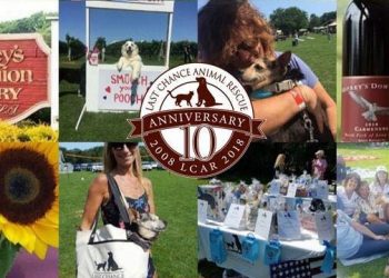 Long Island-Based Animal Rescue Hosting Celebration In Honor Of 10th Anniversary